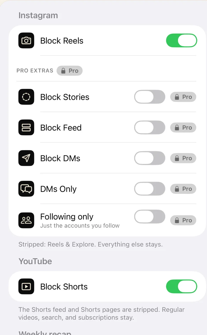 Stillfeed's real Settings screen: Block Reels is on and free; Block Stories, Block Feed, Block DMs, DMs Only and Following only are Pro extras.
